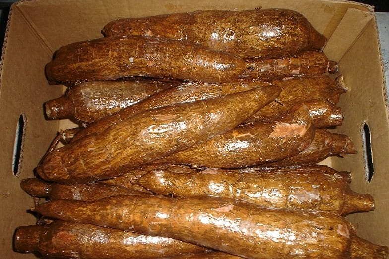 Yuca Manihot Esculenta - Exportaciones Marpananbar Tropical Produce S.A.